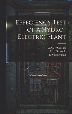 bokomslag Effeciency Test of a Hydro-electric Plant