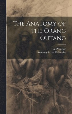 The Anatomy of the Orang Outang 1
