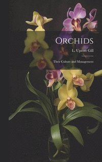 bokomslag Orchids