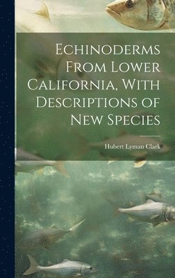 bokomslag Echinoderms From Lower California, With Descriptions of new Species