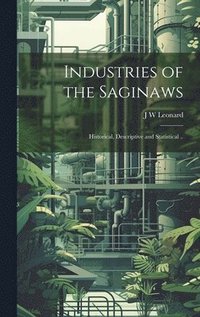 bokomslag Industries of the Saginaws; Historical, Descriptive and Statistical ..
