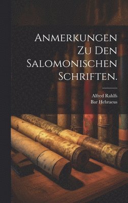 bokomslag Anmerkungen zu den salomonischen Schriften.