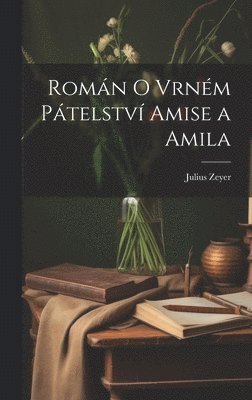 Romn o vrnm ptelstv Amise a Amila 1