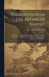 bokomslag Paleontologia del regno di Napoli