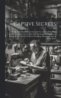 bokomslag Captive Secrets