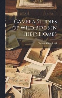 bokomslag Camera Studies of Wild Birds in Their Homes