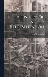 bokomslag A History Of Labour Representation