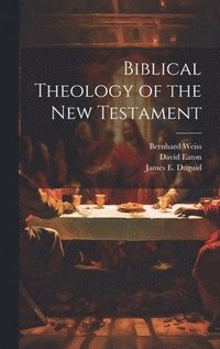 bokomslag Biblical Theology of the New Testament