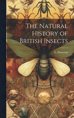 bokomslag The Natural History of British Insects
