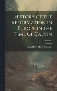 bokomslag History of the Reformation in Europe in the Time of Calvin; Volume 5