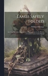 bokomslag Lambs Safely Folded
