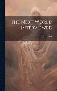 bokomslag The Next World Interviewed