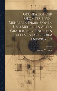 bokomslag Grundzge Der Geometrie Von Mehreren Dimensionen Und Mehreren Arten Gradliniger Einheiten in Elementarer Form Entwickelt