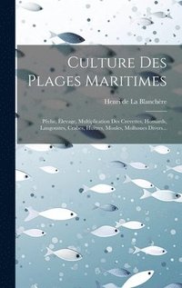 bokomslag Culture Des Plages Maritimes