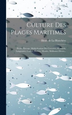 Culture Des Plages Maritimes 1