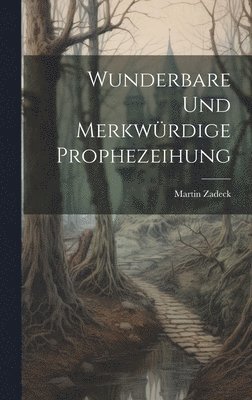 bokomslag Wunderbare Und Merkwrdige Prophezeihung