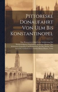 bokomslag Pittoreske Donaufahrt Von Ulm Bis Konstantinopel