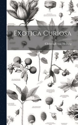 bokomslag Exotica Curiosa