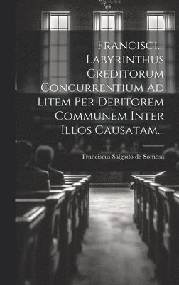 bokomslag Francisci... Labyrinthus Creditorum Concurrentium Ad Litem Per Debitorem Communem Inter Illos Causatam...