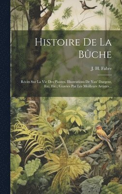 bokomslag Histoire De La Bûche
