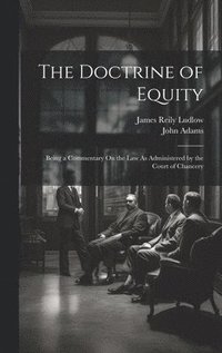 bokomslag The Doctrine of Equity