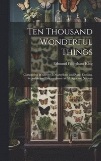 bokomslag Ten Thousand Wonderful Things