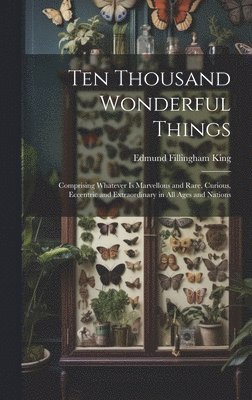 Ten Thousand Wonderful Things 1