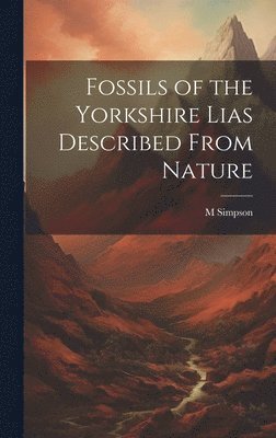 Fossils of the Yorkshire Lias Described From Nature