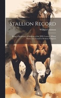 bokomslag Stallion Record