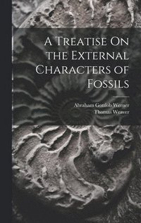 bokomslag A Treatise On the External Characters of Fossils