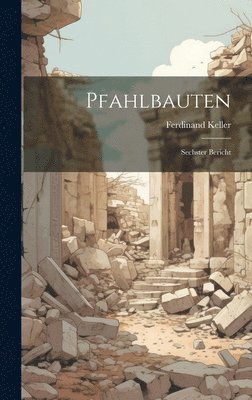 Pfahlbauten: Sechster Bericht 1