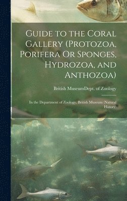 Guide to the Coral Gallery (Protozoa, Porifera Or Sponges, Hydrozoa, and Anthozoa) 1