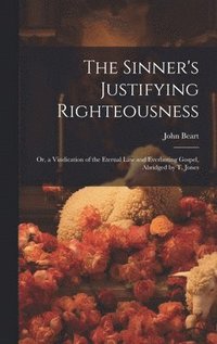 bokomslag Sinner's Justifying Righteousness