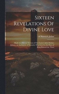 bokomslag Sixteen Revelations Of Divine Love