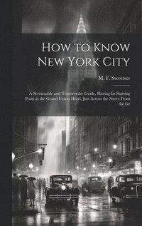 bokomslag How to Know New York City