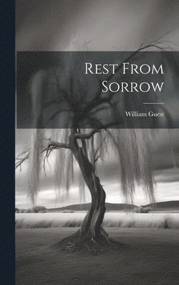 bokomslag Rest From Sorrow