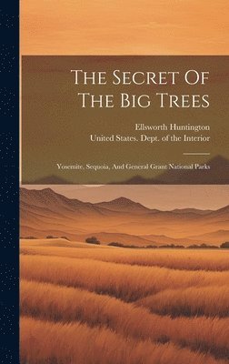 Secret Of The Big Trees