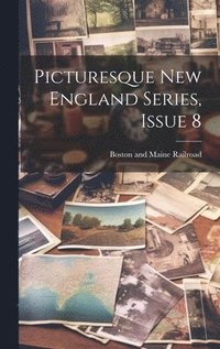 bokomslag Picturesque New England Series, Issue 8