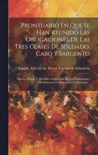 bokomslag Prontuario En Que Se Han Reunido Las Obligaciones De Las Tres Clases De Soldado, Cabo Y Sargento