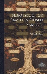 bokomslag Slægtsbog For Familien Finsen Samlet...