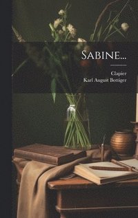 bokomslag Sabine...