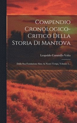 bokomslag Compendio Cronologico-critico Della Storia Di Mantova