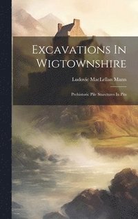 bokomslag Excavations In Wigtownshire