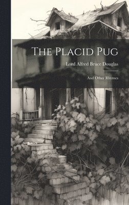 bokomslag Placid Pug