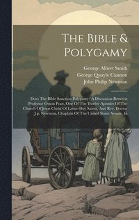 bokomslag The Bible & Polygamy