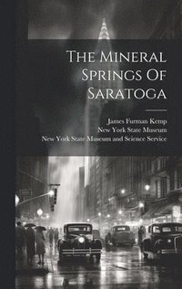 bokomslag The Mineral Springs Of Saratoga