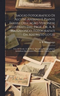 bokomslag Saggio Fotografico Di Alcuni Animali E Piante Fossili Dell'agro Veronese Illustrati Dal Prof. Dr. A. B. Massalongo, Fotografati Da Maurizio Lotze