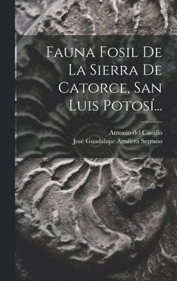 bokomslag Fauna Fosil De La Sierra De Catorce, San Luis Potos...