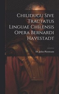 bokomslag Chilidugu Sive Tractatus Linguae Chilensis Opera Bernardi Havestadt