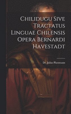 Chilidugu Sive Tractatus Linguae Chilensis Opera Bernardi Havestadt 1